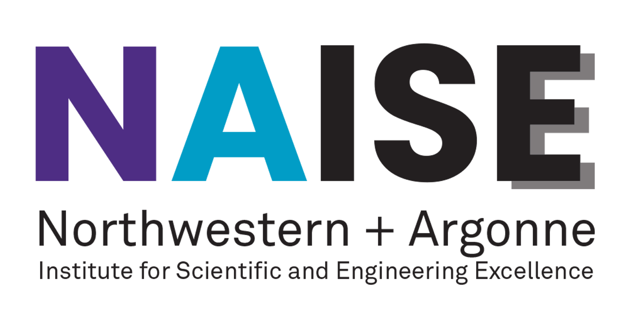 NAISE logo